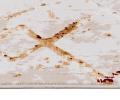 Koberec TINDAR Hardal Beige 200x300 cm